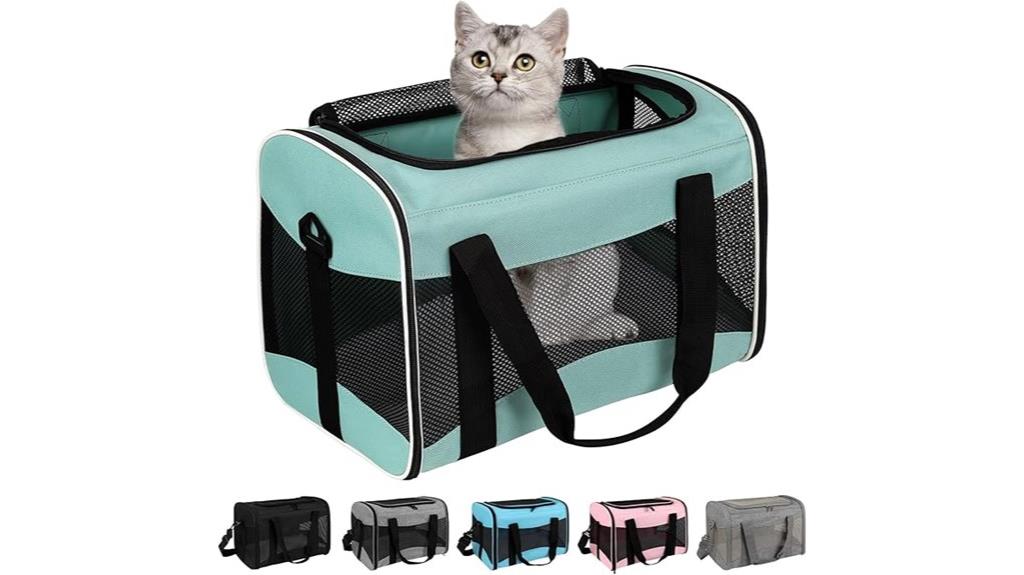 airline approved pet carrier