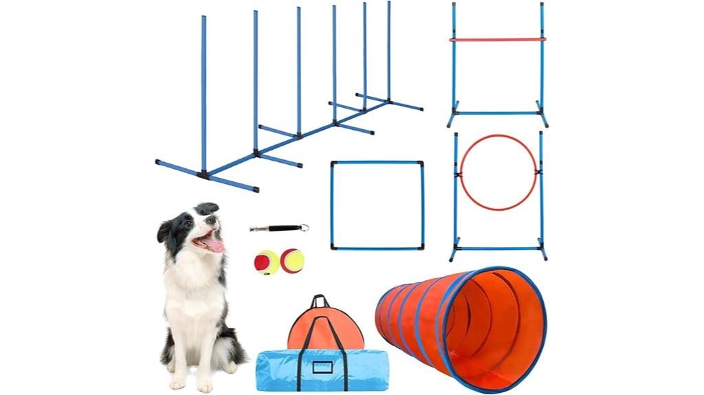 backyard dog agility set