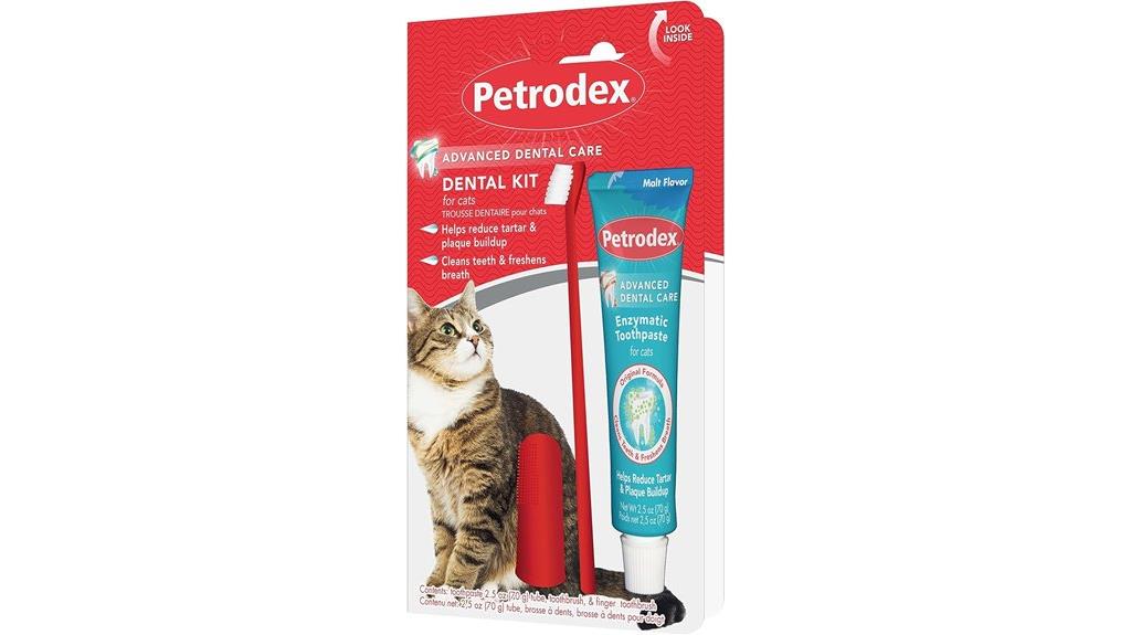 cat dental care kit