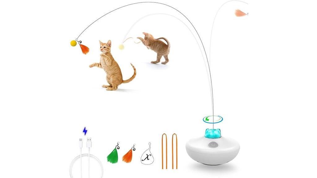 cat toy with feather wand