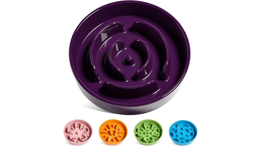 ceramic slow feeder bowls