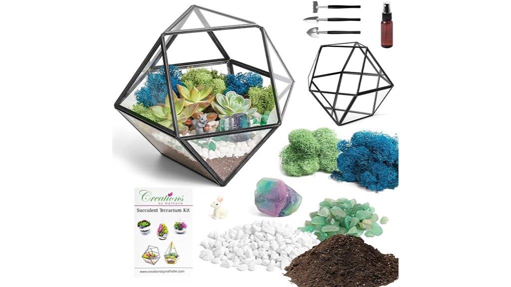 create your own terrarium