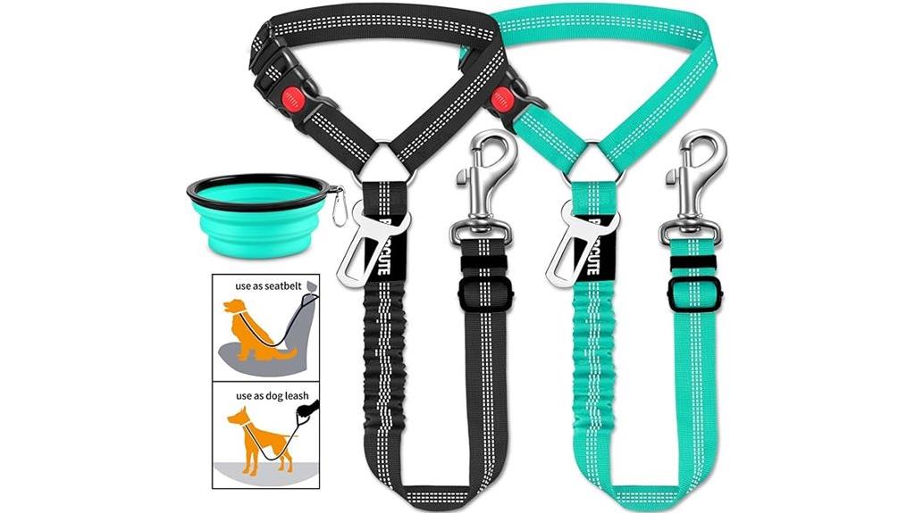 dog car safety set