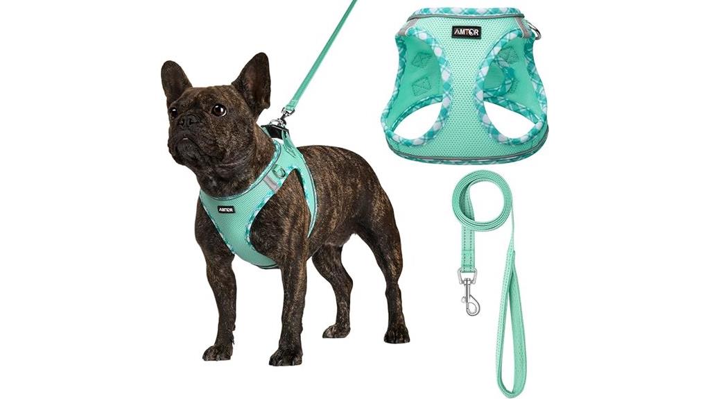 dog harness leash set