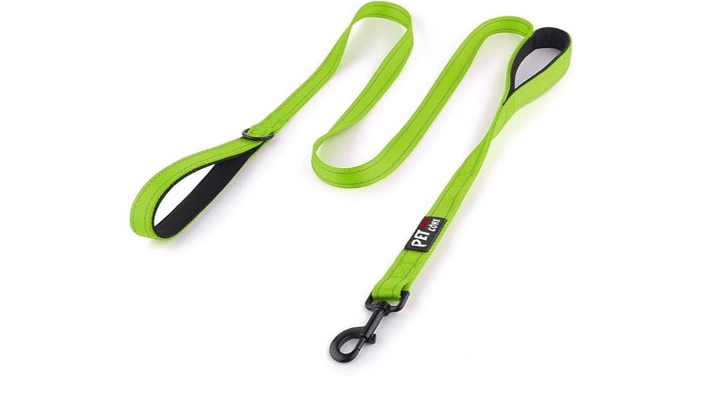 double handle 6ft leash