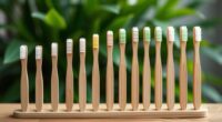 eco friendly bamboo toothbrushes