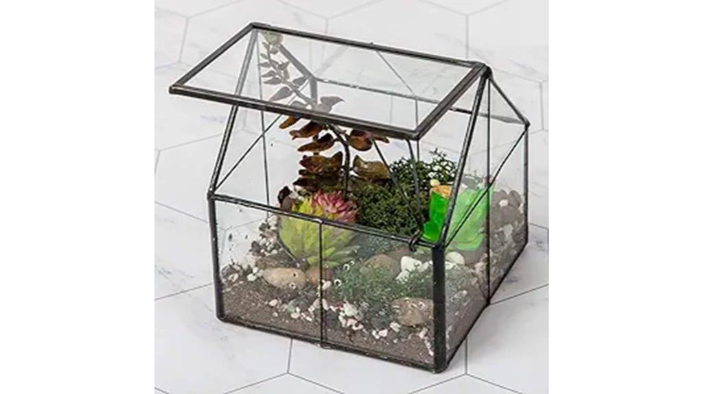 ferrisland glass terrarium