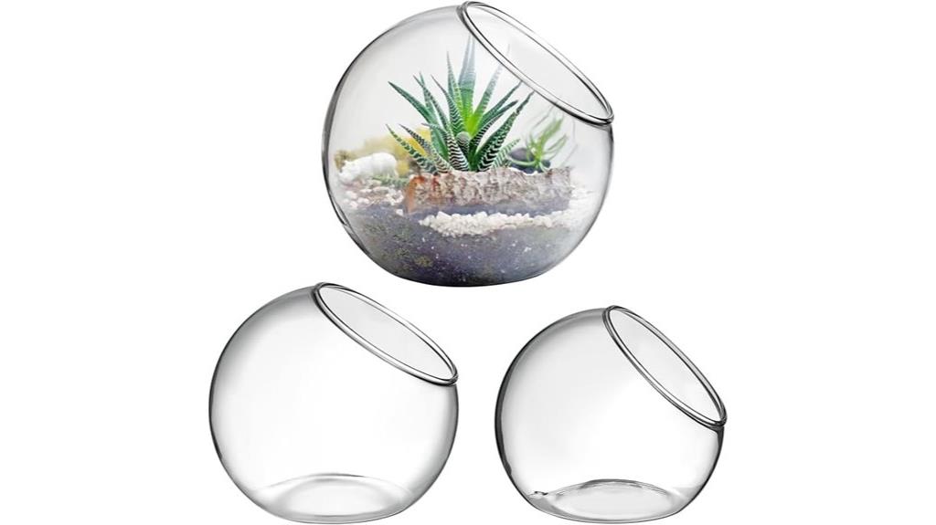 glass plant terrarium sets