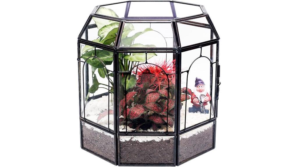 handmade glass plant terrarium