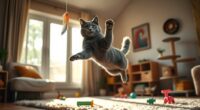 indoor cat exercise routines