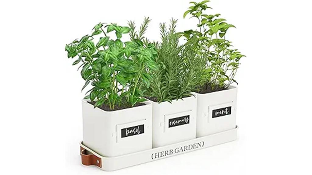 indoor herb garden set