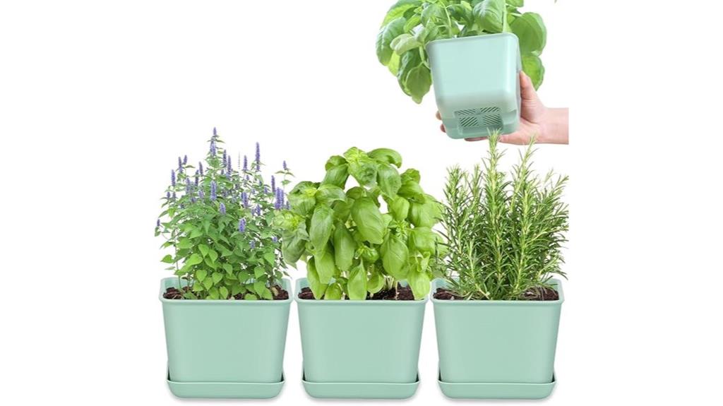 indoor herb garden set