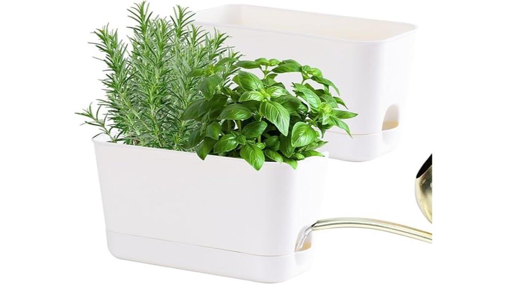 indoor herb planter kit