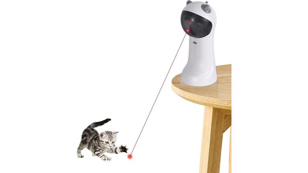interactive cat toy