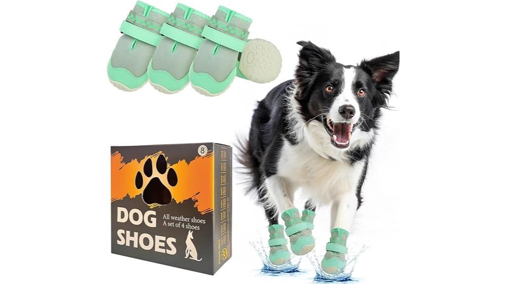 large dog shoe protection