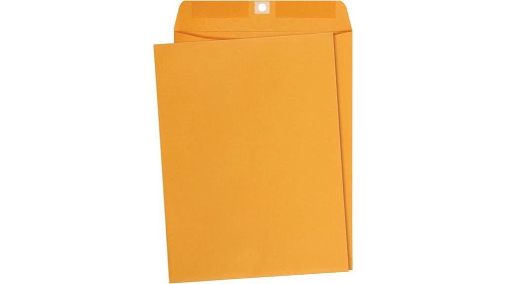 large kraft envelope pack