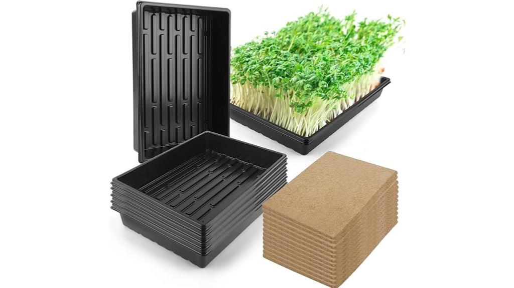 microgreens growing trays
