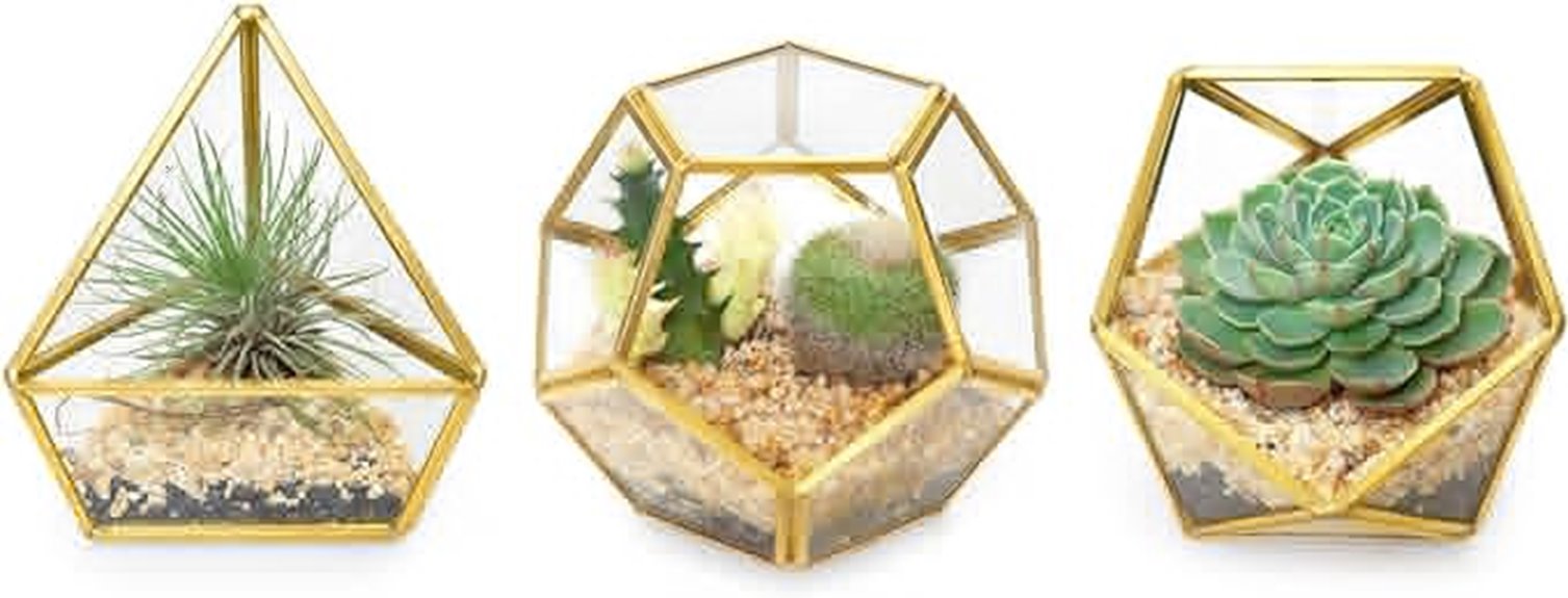 mini glass geometric terrariums