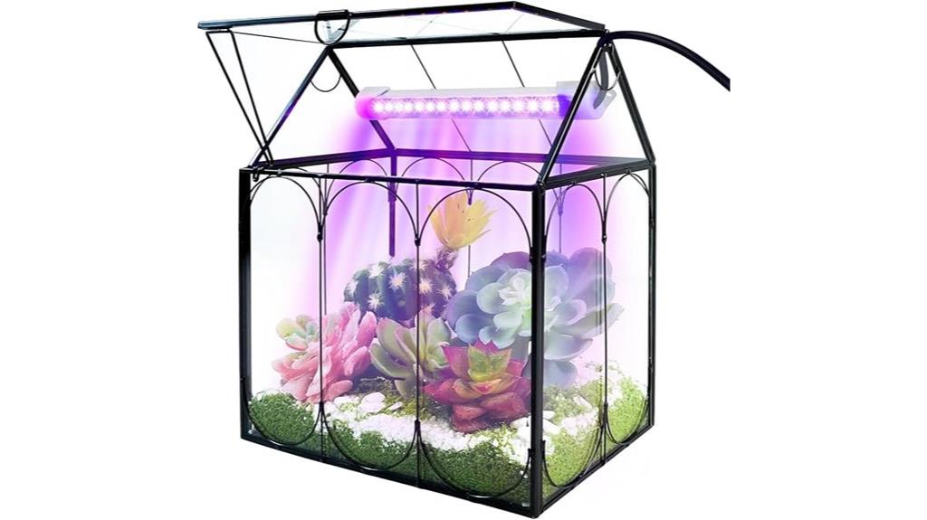 mini glass plant terrarium