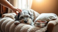 senior pet health tips