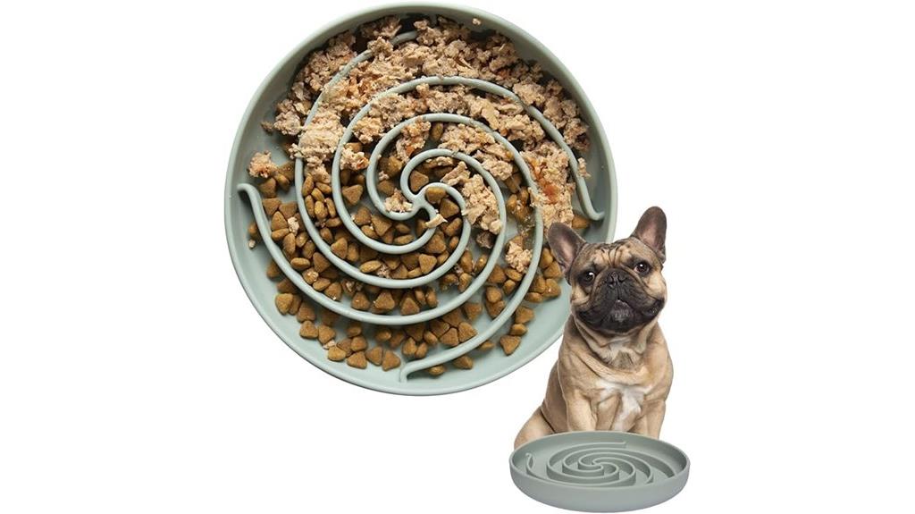 slow feeding silicone bowl