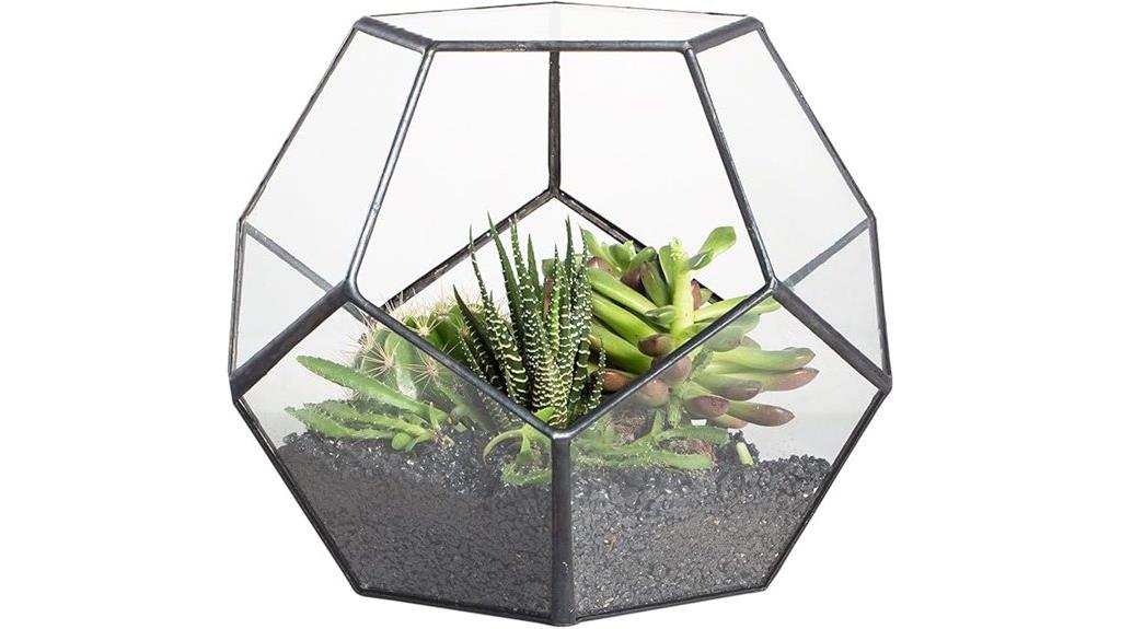 small open terrarium