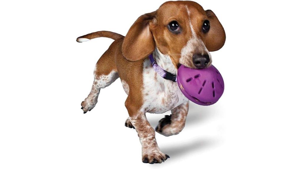 small treat dispensing toy