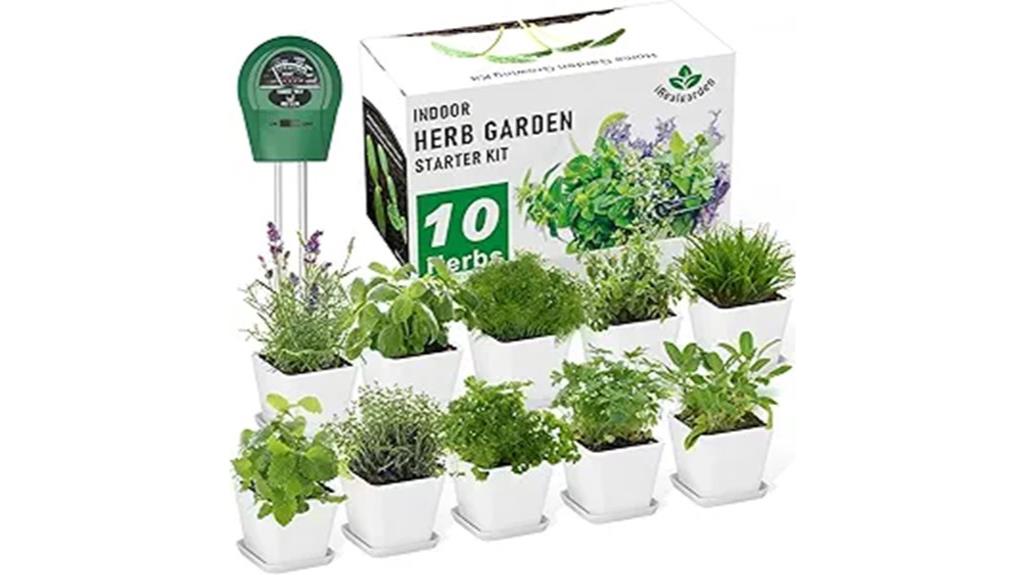 ten plant windowsill garden