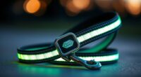 top reflective dog leash options
