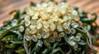 emerging fermented seaweed ingredients