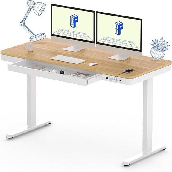 FLEXISPOT 55 Electric Sit-Stand Desk with Storage