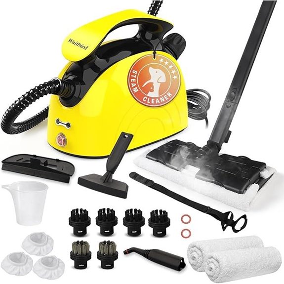 Heavy Duty Steam Cleaner for Home and Car