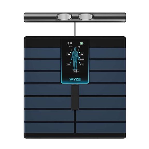 smart scale with handle