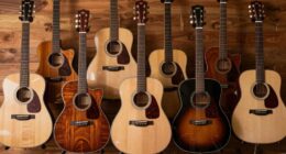 top 15 premium acoustic guitars