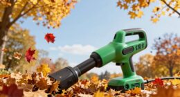 top cordless leaf blowers