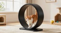 large indoor cat wheels
