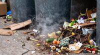 litter odor causes fixes