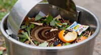 proper composting ingredient guidelines