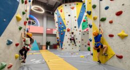 top kids climbing gym sets