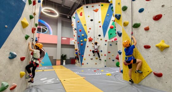 top kids climbing gym sets