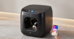 top smart litter boxes