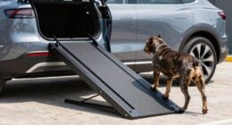 top heavy duty suv ramps