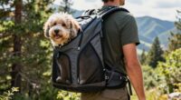 top large pet carriers