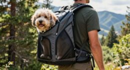 top large pet carriers
