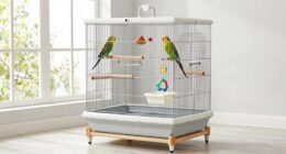 top parrot cage stands