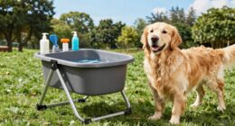 top portable dog bath stations