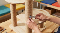 11 Best Modular Cat Tree For Big Cats In 2026