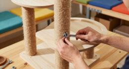 11 Best Modular Cat Tree For Big Cats In 2026