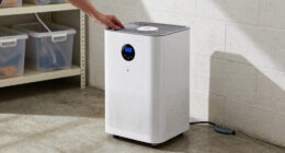 12 Best Dehumidifier for Basement Energy Efficient in 2026
