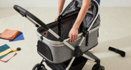 12 Best Pet Stroller for Medium Dogs in 2026